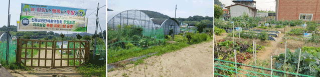 해피앤자인 체험농장 도심속화분관리 나.비.채. 주말농장 사진
