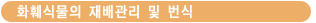 원예식물의 분류
